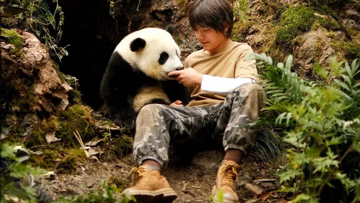 Moon, der Panda Vorschaubild des Trailers